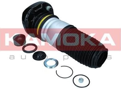Air Spring, suspension 2079070