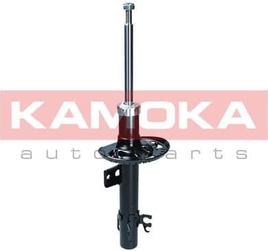 Shock Absorber 2001182