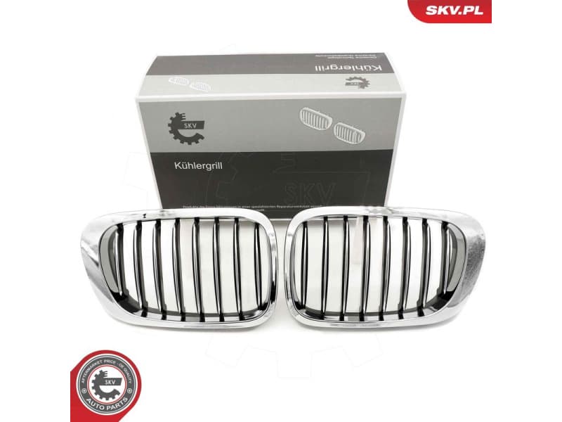 Radiator Grille 66SKV057