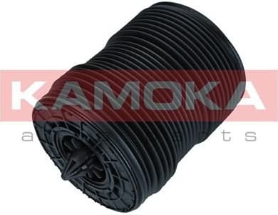 Air Spring, suspension 2079069