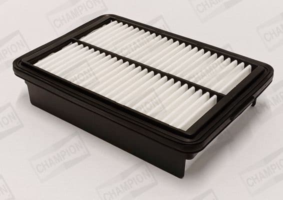 Air Filter CAF101249P - image 2