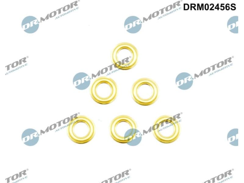 Heat Shield, injection system DRM02456S