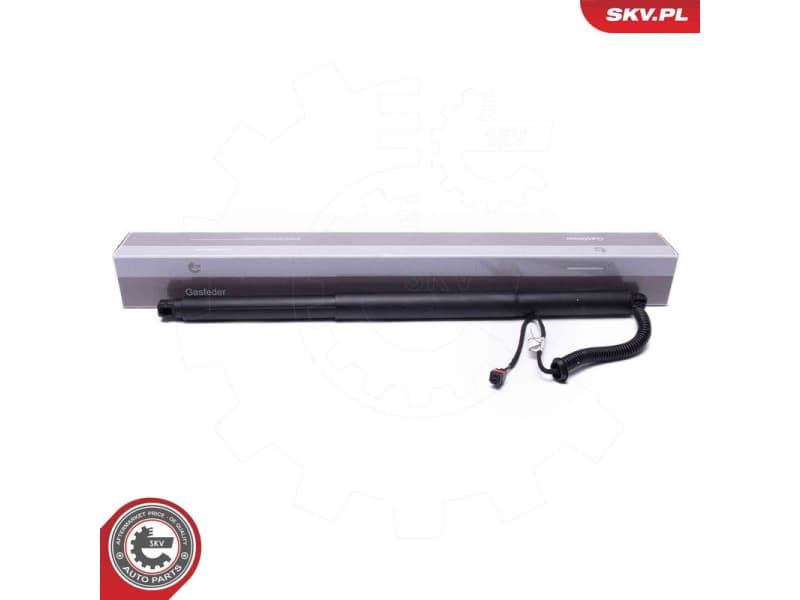 Electric Motor, tailgate 52SKV959