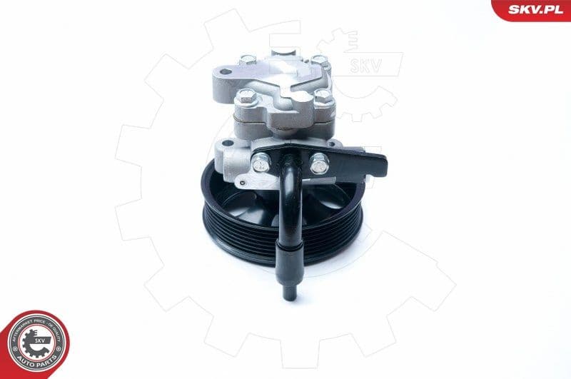 Hydraulic Pump, steering 10SKV201