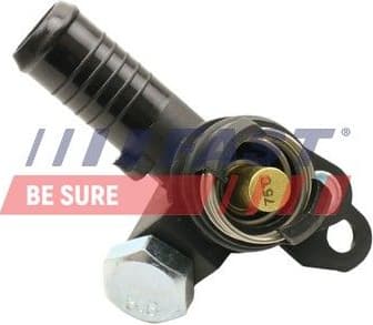 Thermostat, coolant FT58197