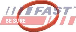 Gasket, EGR valve FT50628