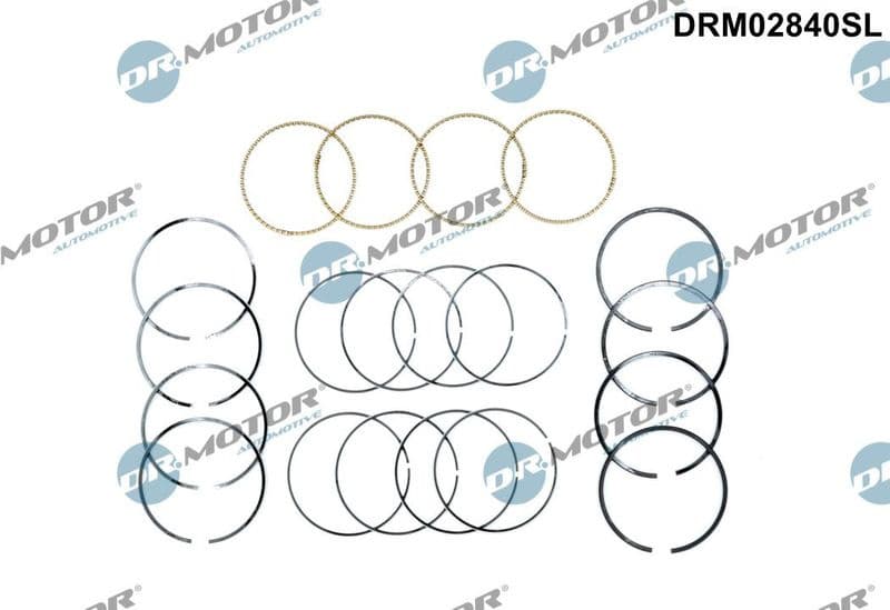 Piston Ring Set DRM02840SL