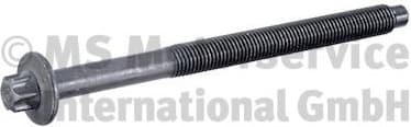 Cylinder Head Bolt 50009298