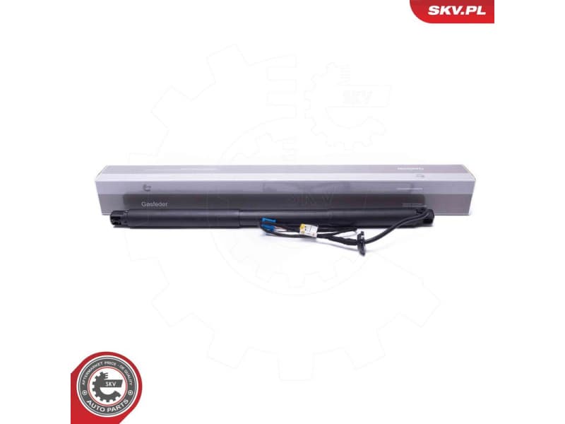 Electric Motor, tailgate 52SKV958