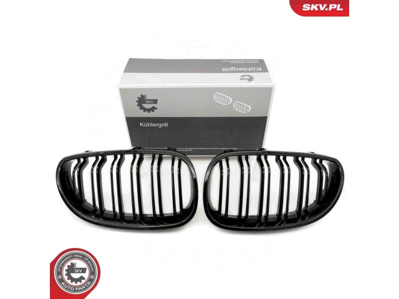 Radiator Grille 66SKV171