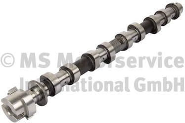 Camshaft 50007940