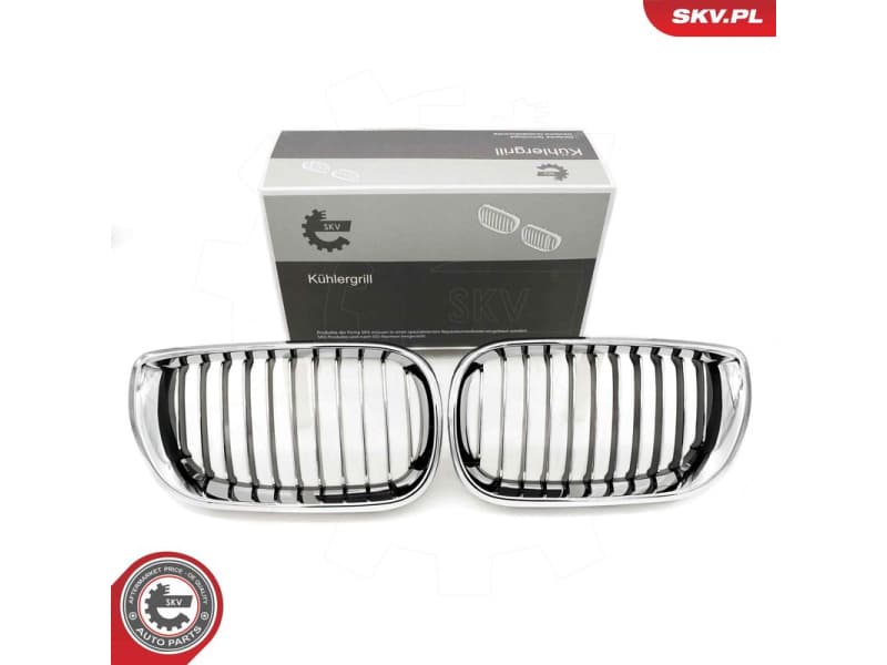 Radiator Grille 66SKV078
