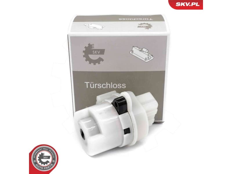 Ignition Switch 65SKV027