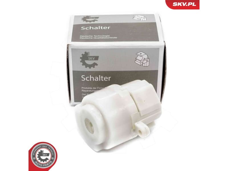 Ignition Switch 65SKV037