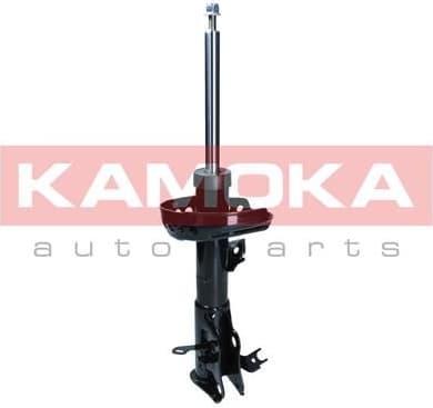 Shock Absorber 2001096
