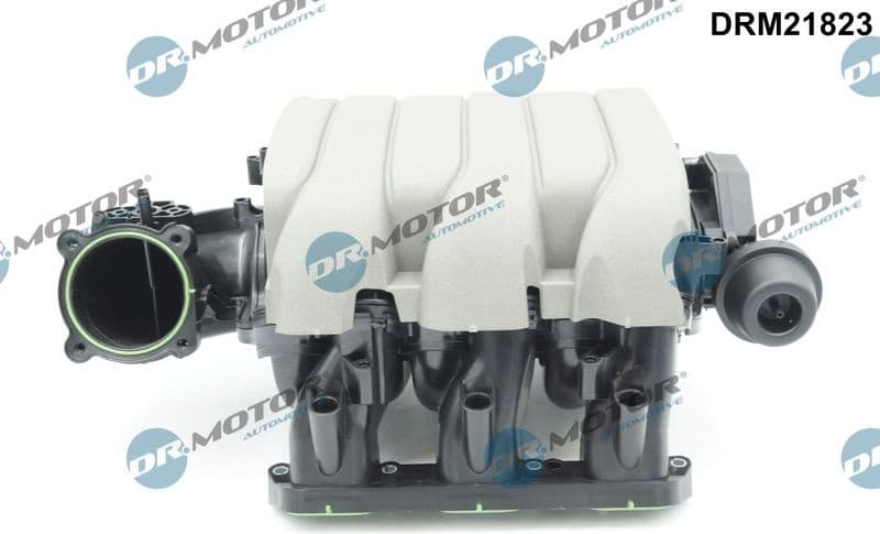 Intake Manifold Module DRM21823