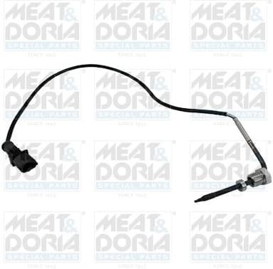 Sensor, exhaust gas temperature 12446E