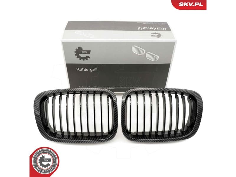 Radiator Grille 66SKV065