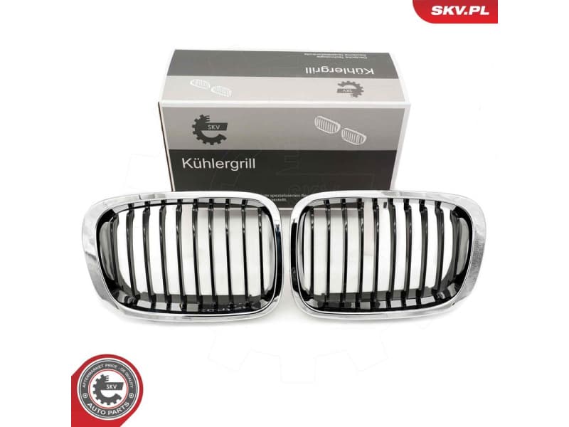 Radiator Grille 66SKV064