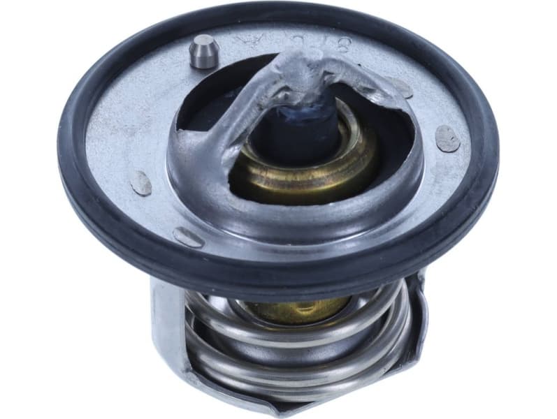 Thermostat, coolant 1069-87K