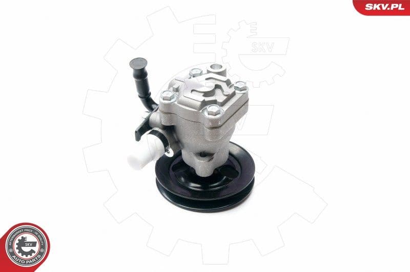 Hydraulic Pump, steering 10SKV200