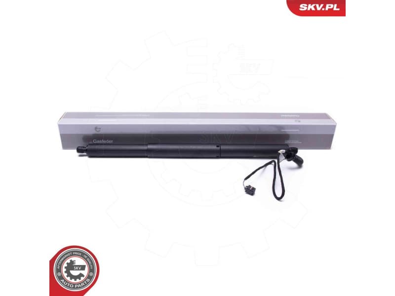 Electric Motor, tailgate 52SKV953