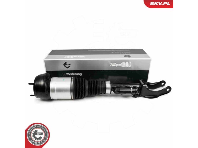 Air Suspension Strut 58SKV716