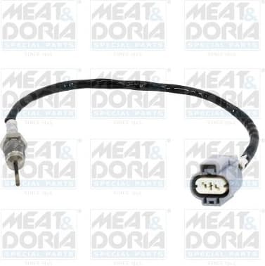 Sensor, exhaust gas temperature 12468