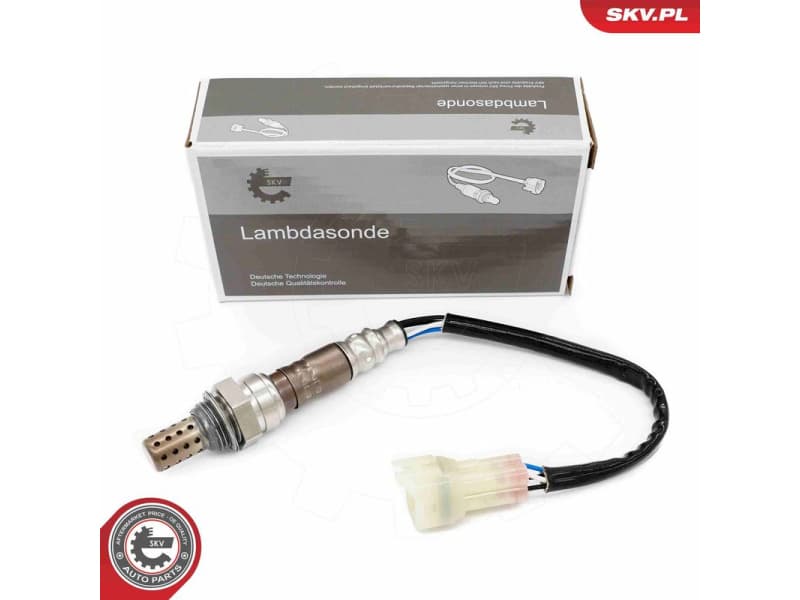 Oxygen Sensor 09SKV143