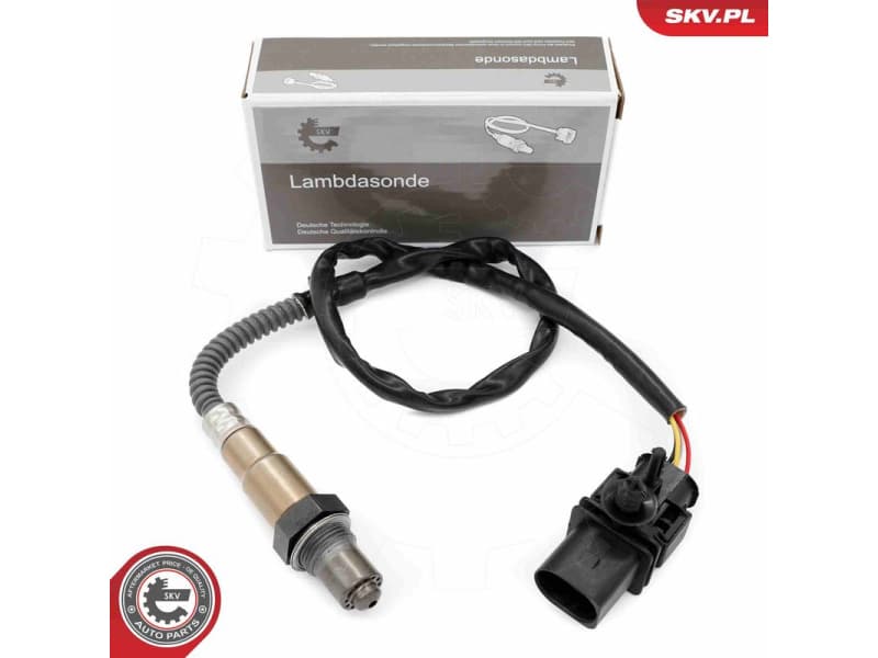 Oxygen Sensor 09SKV163