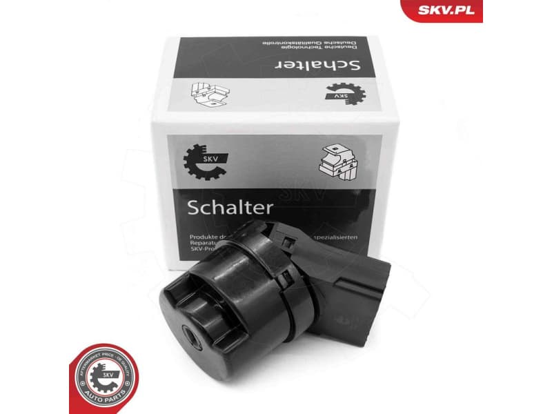 Ignition Switch 65SKV043