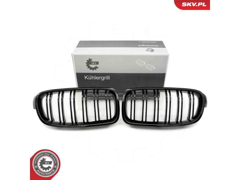 Radiator Grille 66SKV123