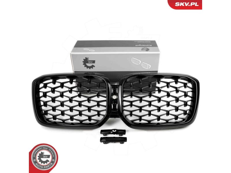 Radiator Grille 66SKV269