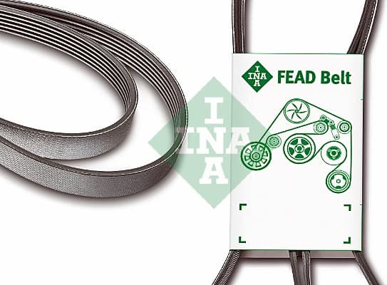 V-ribbed Belt FB6PK1165