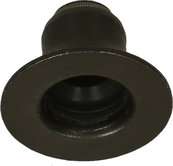 Seal valve stem 574.330