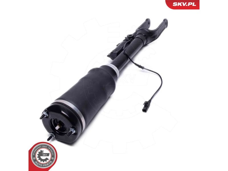 Air Suspension Strut 58SKV714