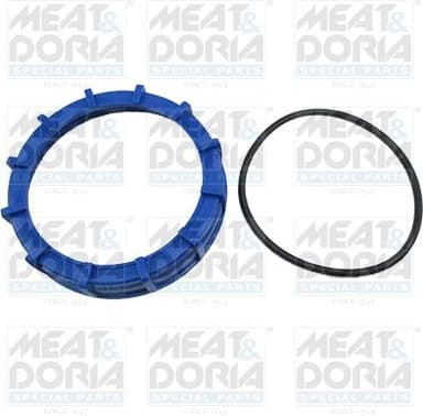 Seal, fuel tank cap GSK13