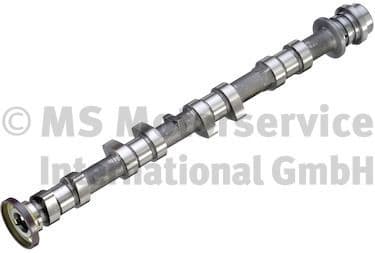 Camshaft 50007925