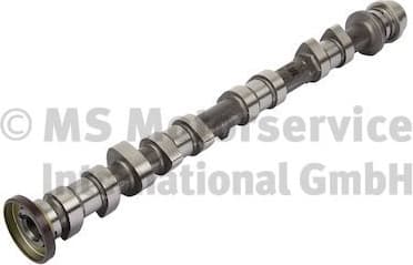 Camshaft 50007926