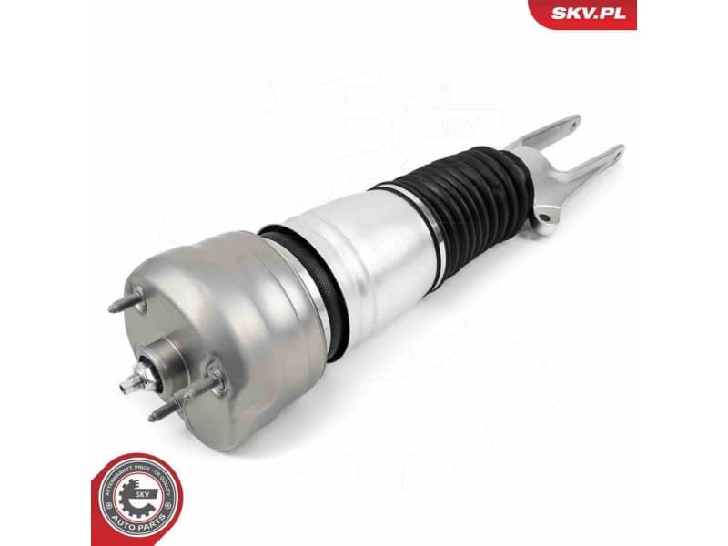 Air Suspension Strut 58SKV705 - image 2