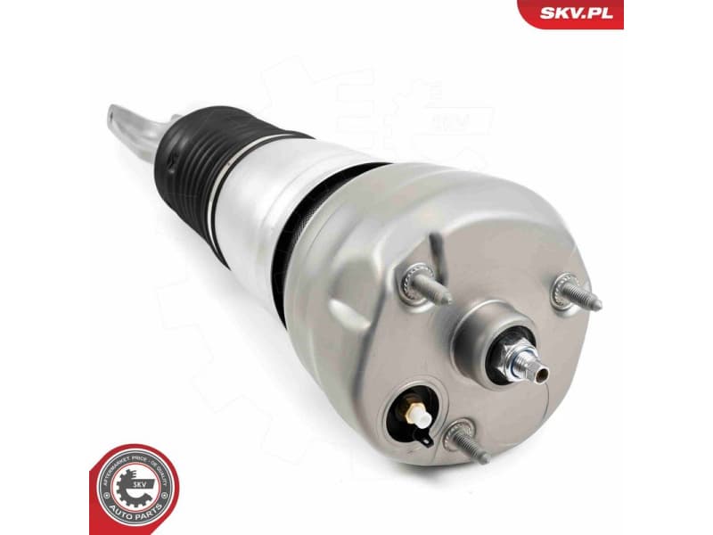 Air Suspension Strut 58SKV705 - image 4