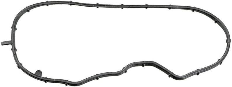 Gasket, timing case 49115982