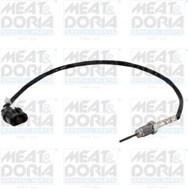 Sensor, exhaust gas temperature 12440