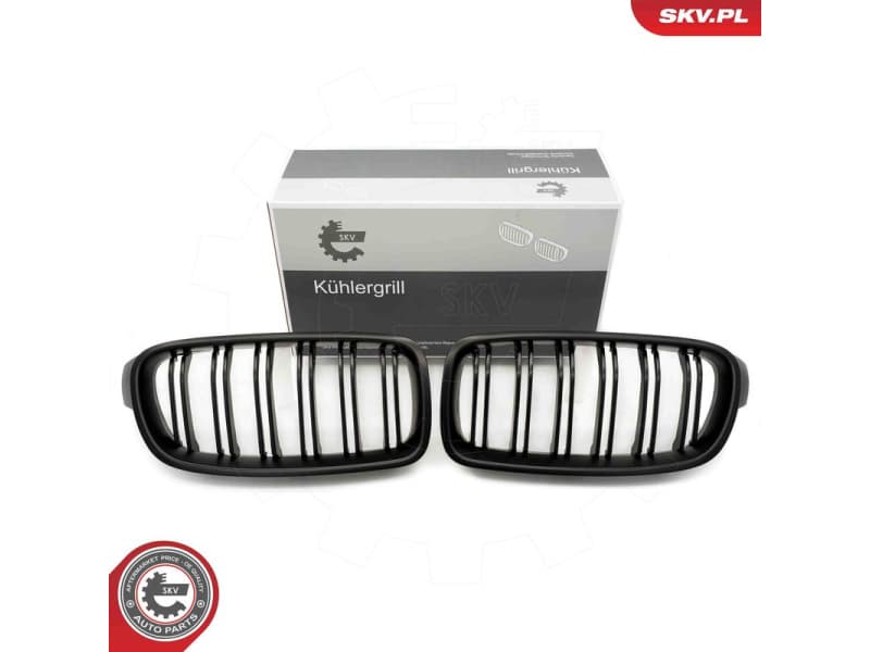 Radiator Grille 66SKV126