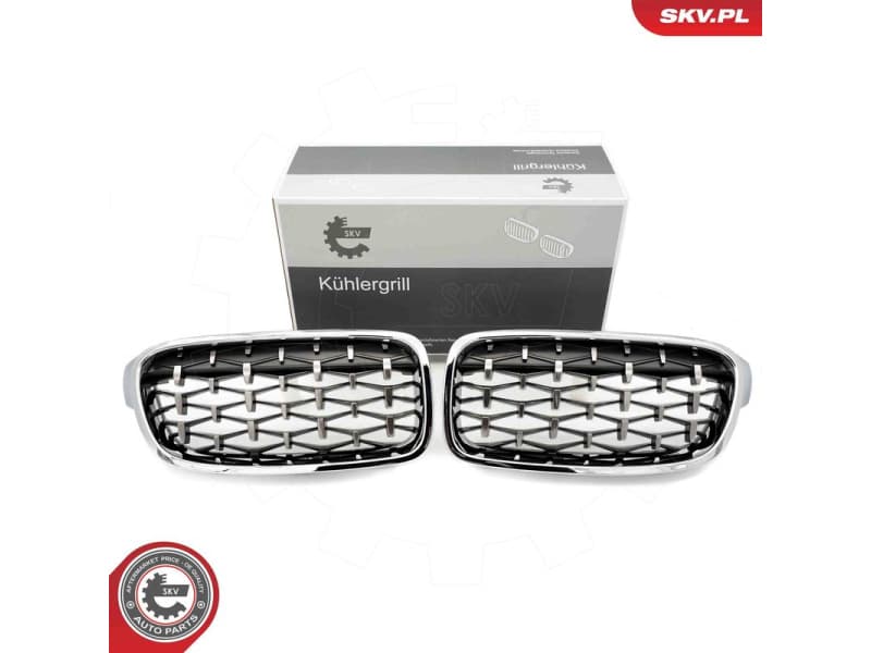 Radiator Grille 66SKV130