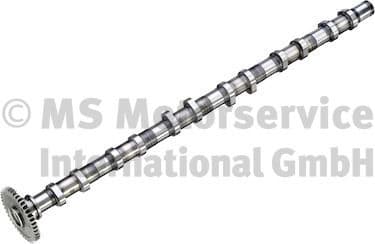 Camshaft 50007931
