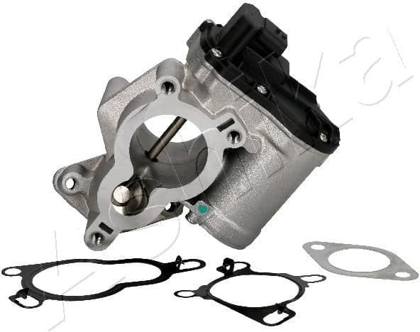 EGR Valve 150-01-113