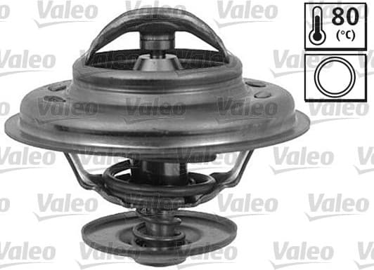 Thermostat, coolant 819948