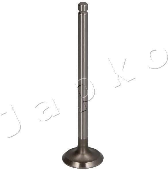 Exhaust Valve 5MI003