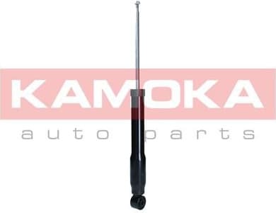 Shock Absorber 2000937